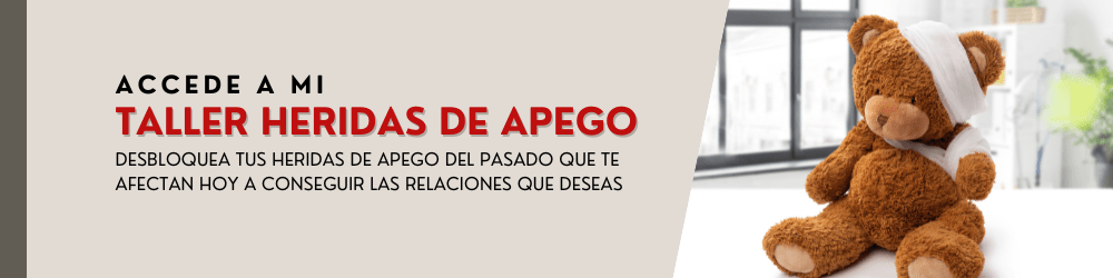 banner web